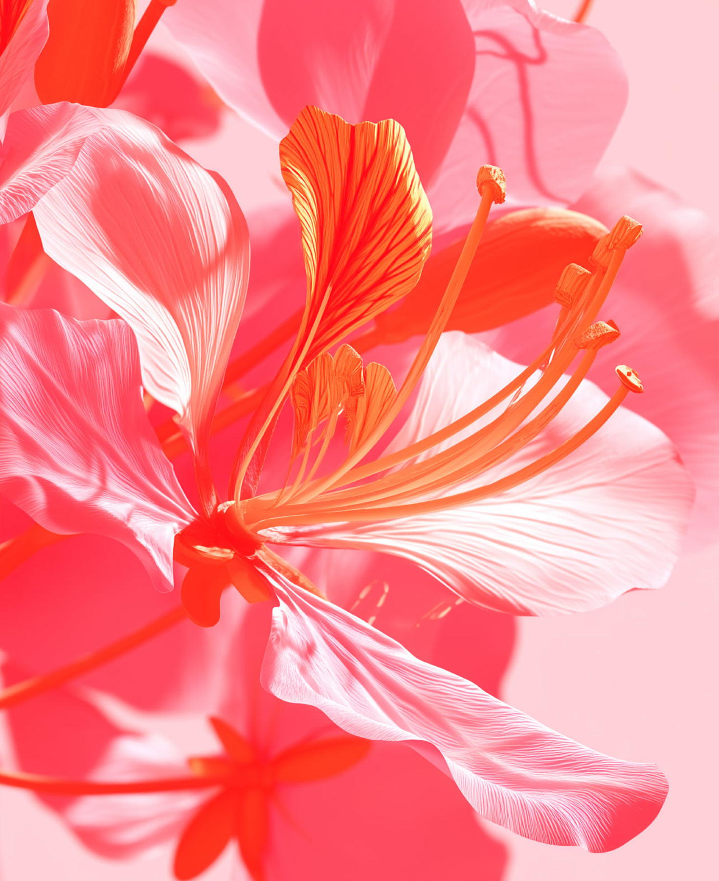 f-DESIGN