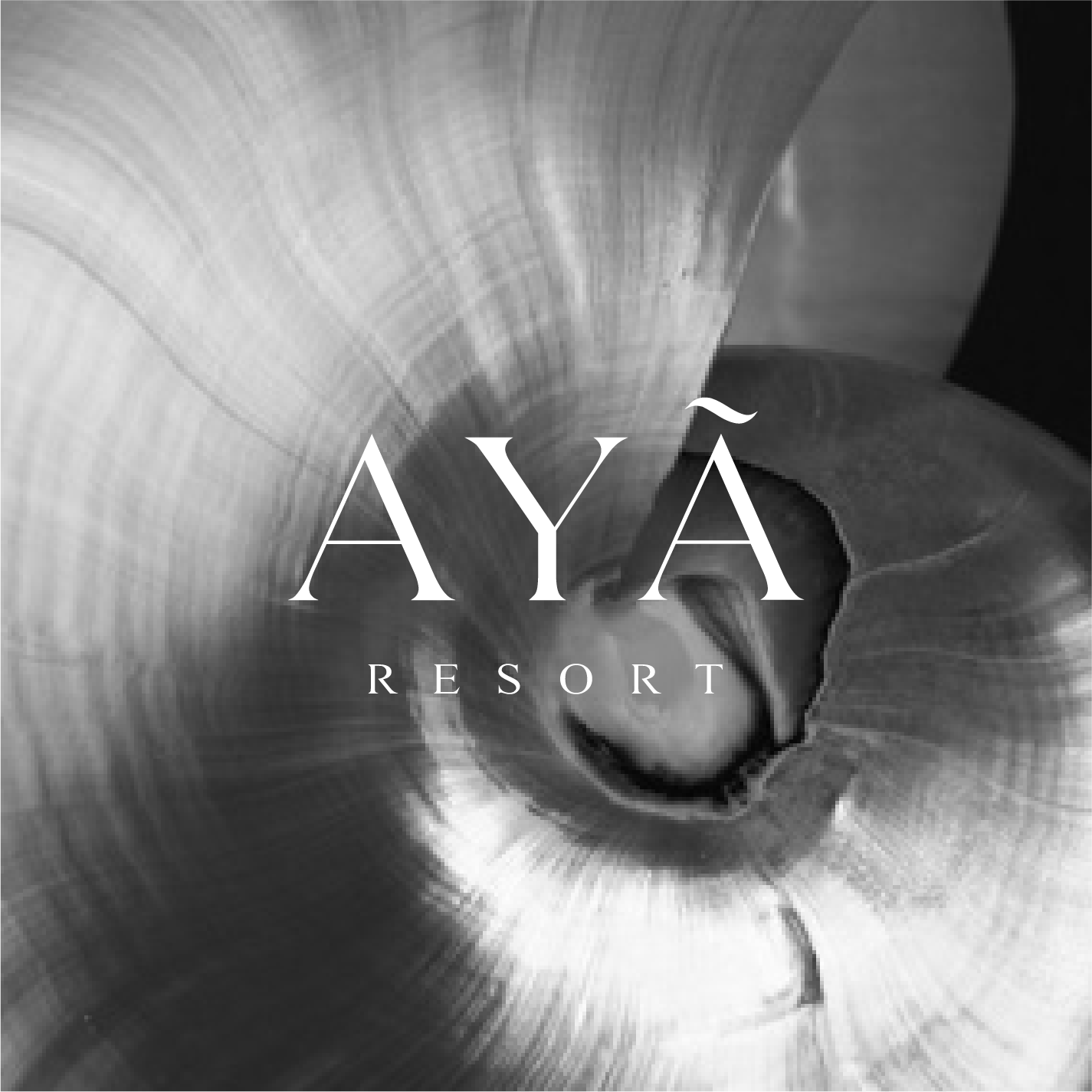 AYÃ Resort